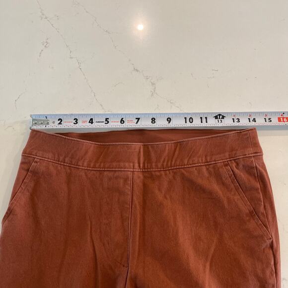 SPANX On-The-Go Ankle Slim Straight Pants in Bronze Glow Size M - Picture 9 of 12